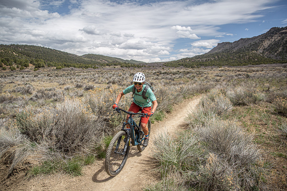 Mountain Bike Brands (cruising in sage field)